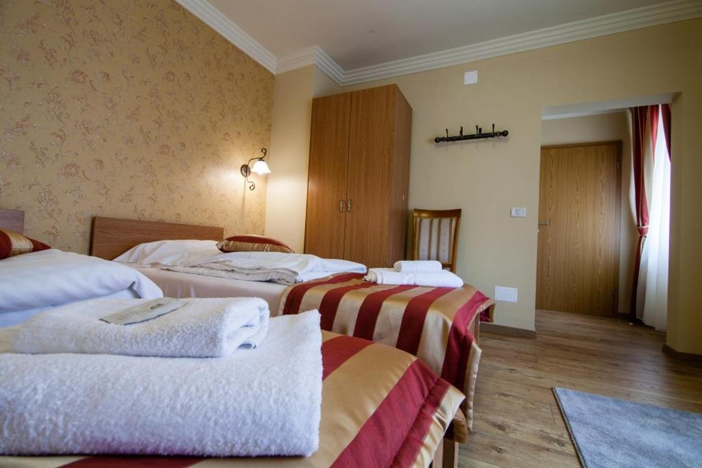 Pension Andronic Тимишоара Екстериор снимка