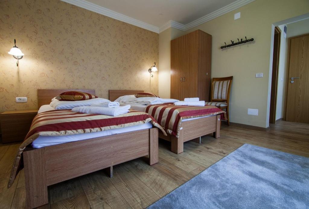 Pension Andronic Тимишоара Екстериор снимка