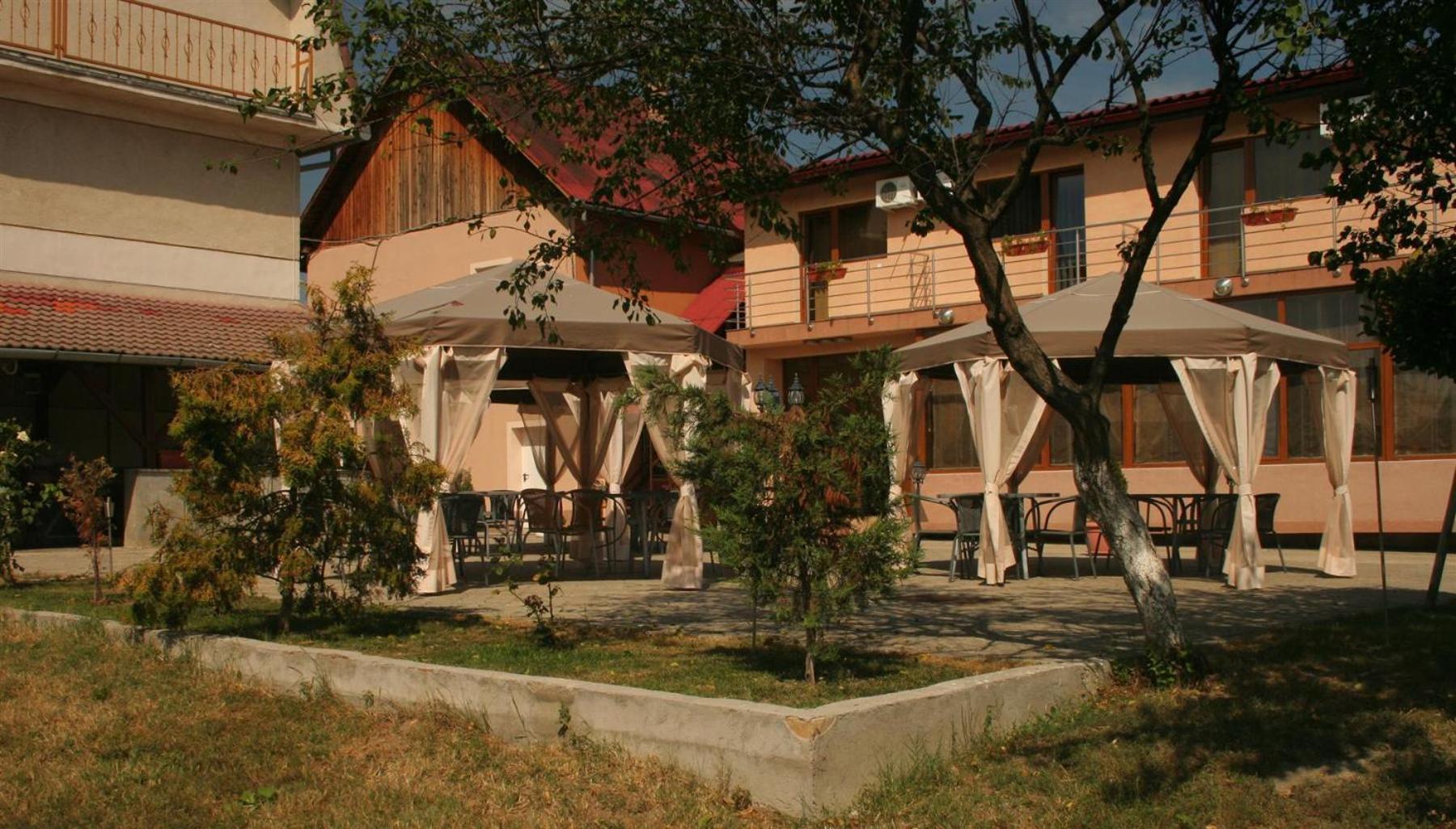 Pension Andronic Тимишоара Екстериор снимка