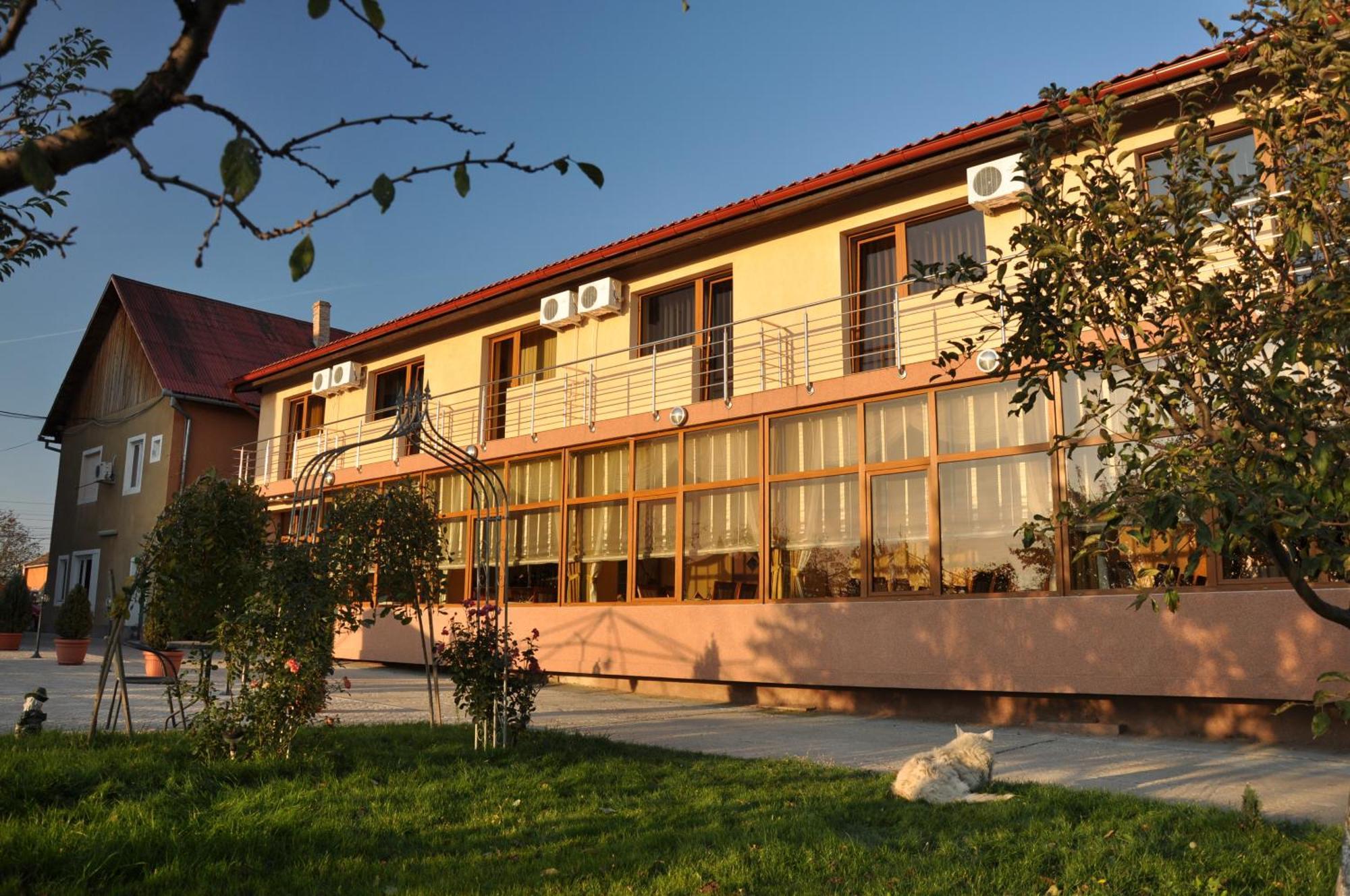 Pension Andronic Тимишоара Екстериор снимка